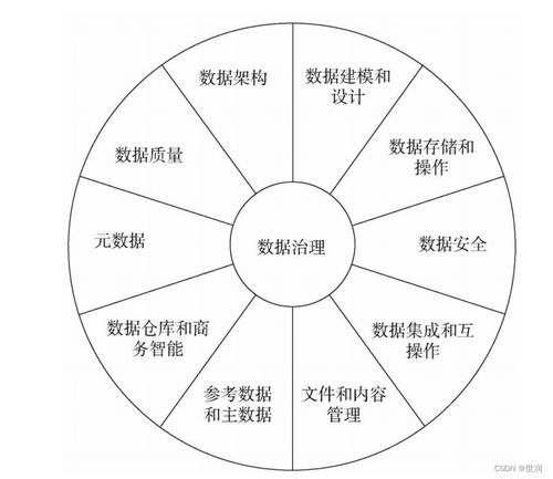 數據治理 構建高效數據處理的核心藍圖